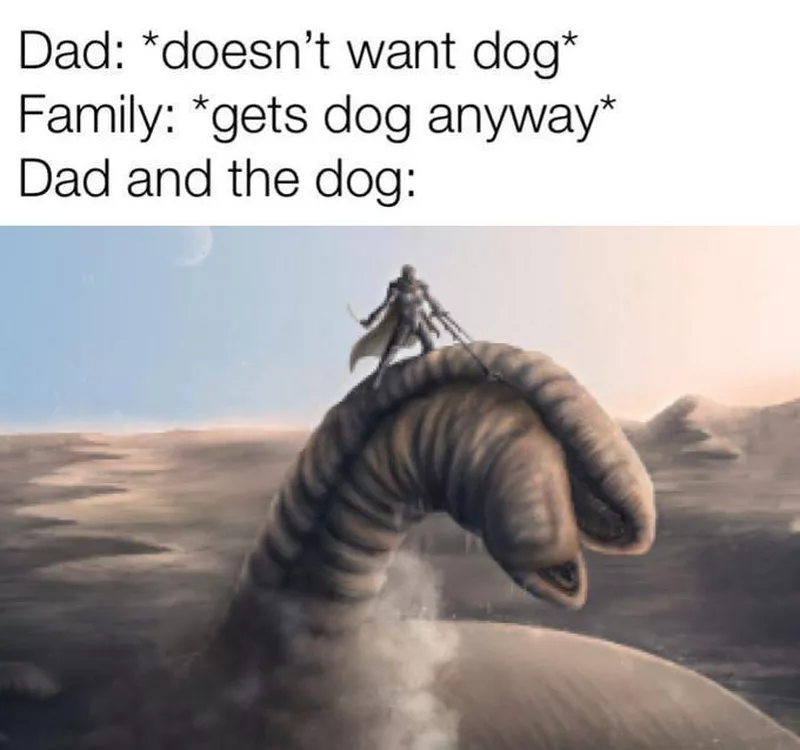 Dune dog meme