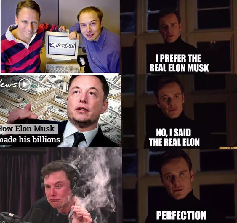 the real elon musk