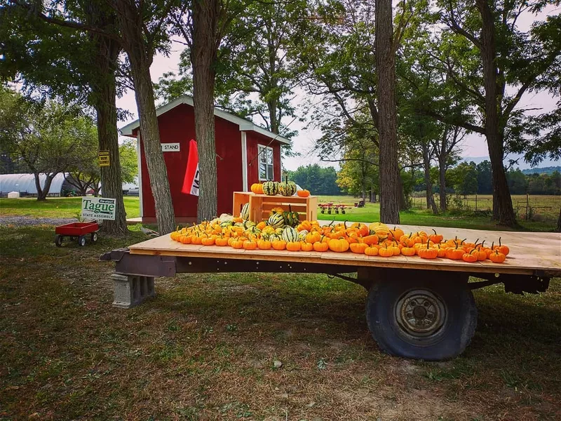 Greenville farm, New York