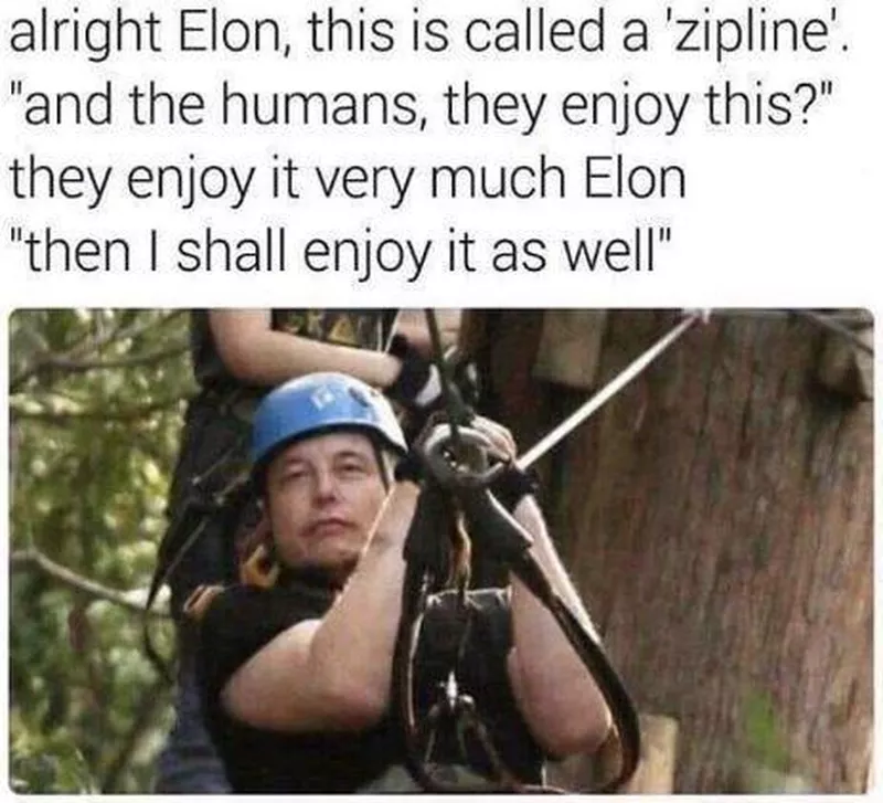 elon musk zipline