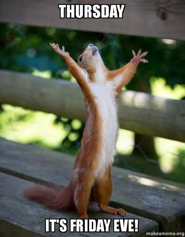 excited squirrel