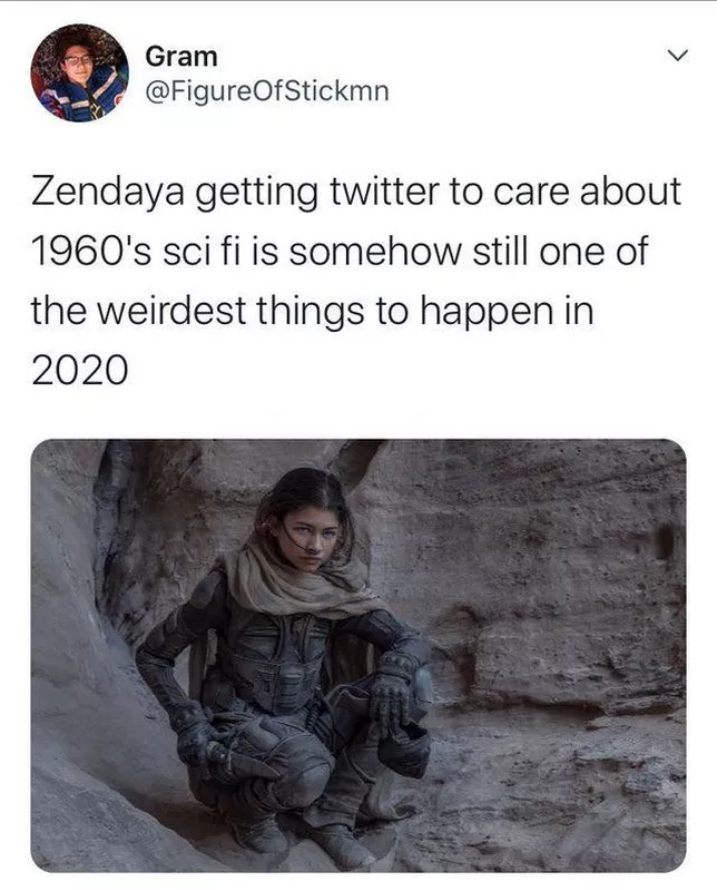 Zendaya Dune meme