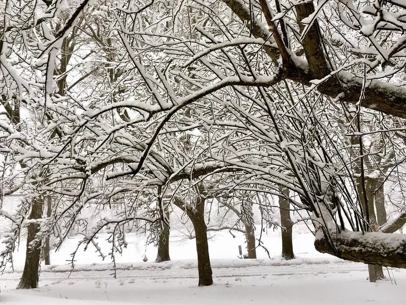 Munsey Park in winter