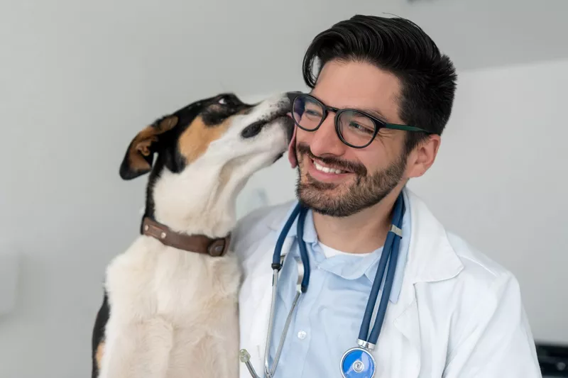 Veterinarian and dog